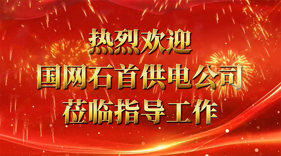 熱烈歡迎國網石首供電公司領導蒞臨我司考察指導